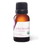 Spike Lavender Essential Oil - 15ml - Essential Oil Singles - Aromatics International