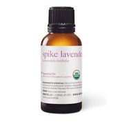 Spike Lavender Essential Oil - 30ml - Essential Oil Singles - Aromatics International