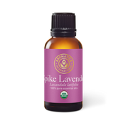 Spike Lavender Essential Oil - 30ml - Essential Oil Singles - Aromatics International