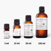 Spike Lavender Essential Oil - 5ml - Essential Oil Singles - Aromatics International