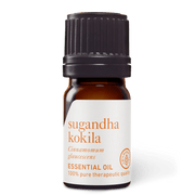 Sugandha Kokila Essential Oil - 5ml - Essential Oil Singles - Aromatics International