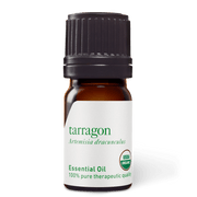 Tarragon Essential Oil - 5ml - Essential Oil Singles - Aromatics International