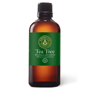 Tea Tree Essential Oil - 100ml - Essential Oil Singles - Aromatics International