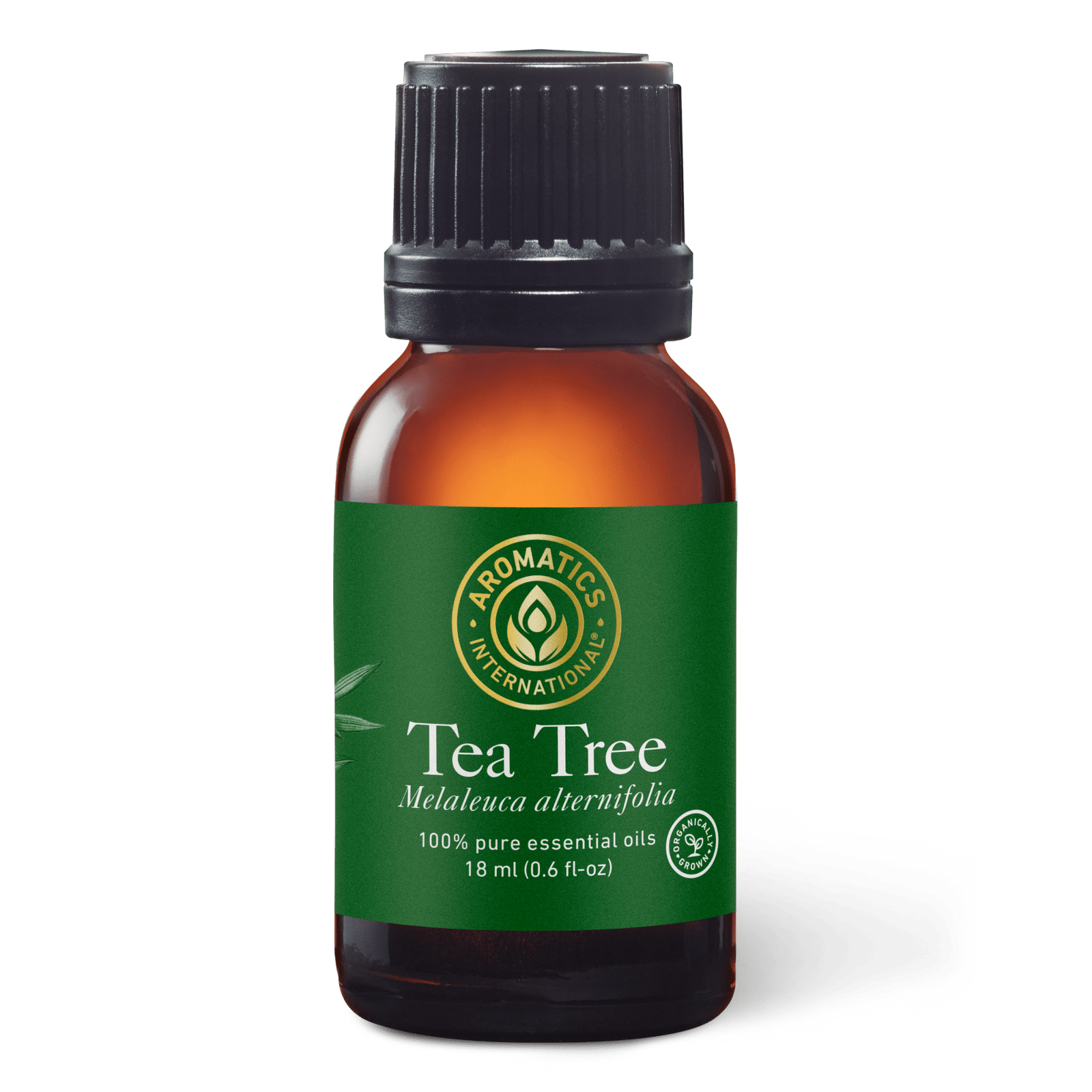 Tea Tree Essential Oil - 15ml - Essential Oil Singles - Aromatics International