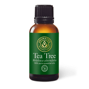 Tea Tree Essential Oil - 30ml - Essential Oil Singles - Aromatics International