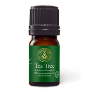 Tea Tree Essential Oil - 5ml - Essential Oil Singles - Aromatics International