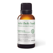 Tulsi (Holy Basil) Essential Oil - 30ml - Essential Oil Singles - Aromatics International