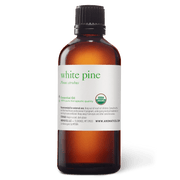 White Pine Essential Oil - 100ml - Essential Oil Singles - Aromatics International