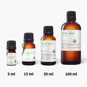 White Pine Essential Oil - 5ml - Essential Oil Singles - Aromatics International