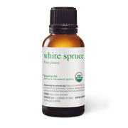 White Spruce Essential Oil - 30ml - Essential Oil Singles - Aromatics International