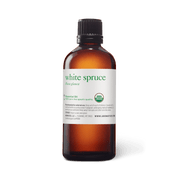 White Spruce Oil - Expired - 100ml - Expired Oils - Aromatics International