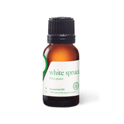 White Spruce Oil - Expired - 15ml - Expired Oils - Aromatics International