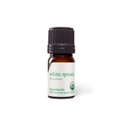 White Spruce Oil - Expired - 5ml - Expired Oils - Aromatics International