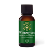 Wintergreen Essential Oil - 30ml - Essential Oil Singles - Aromatics International