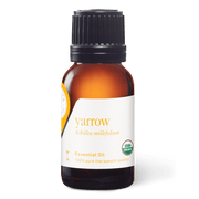 Yarrow Essential Oil - 15ml - Essential Oil Singles - Aromatics International