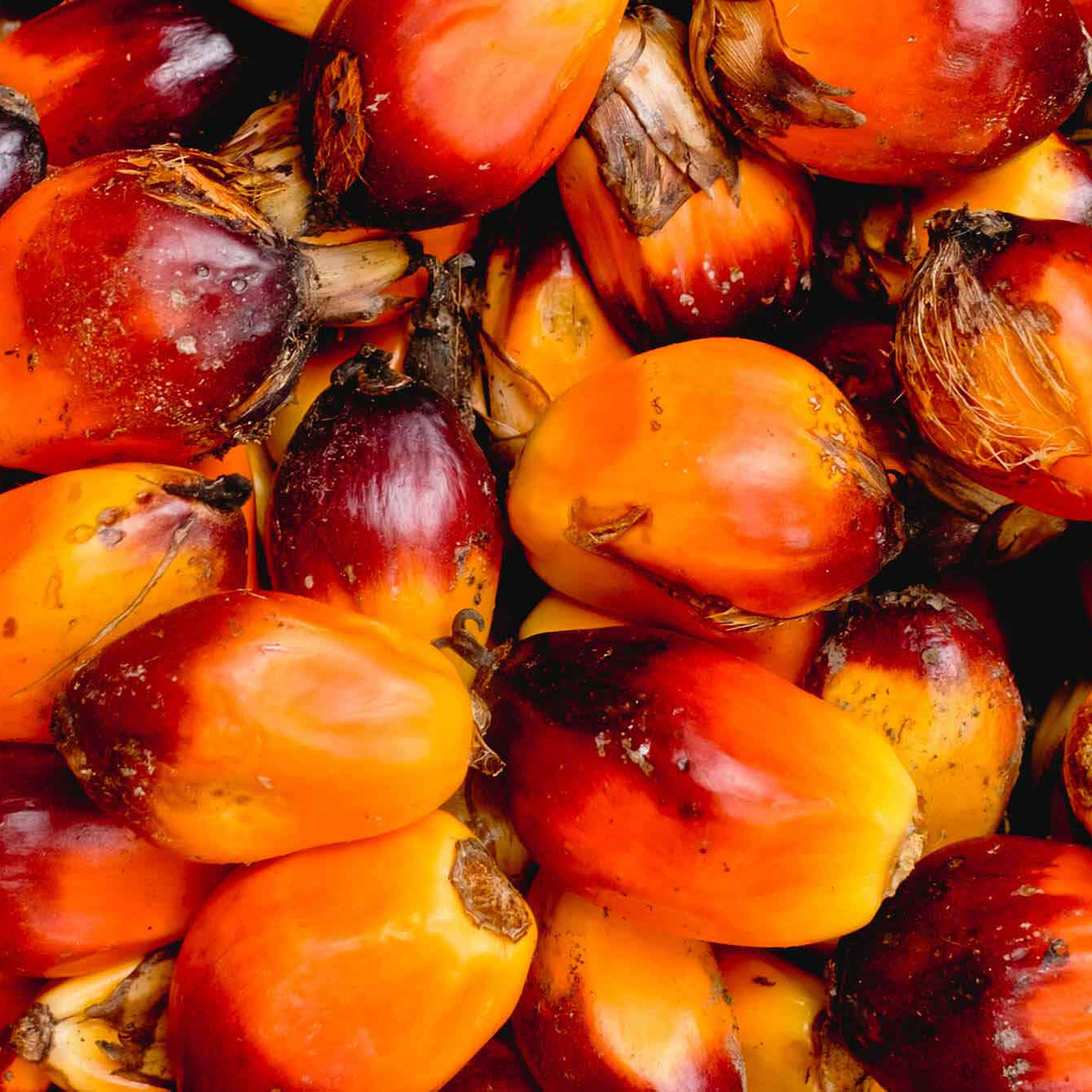 Homemade palm kernel oil/ how to make clear organic palm kernel