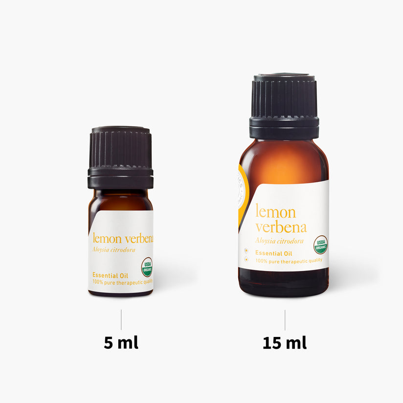 Lemon Verbena Essential Oil — The Ingredients Store